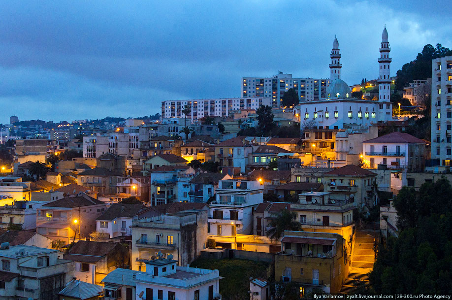 Алжир страна википедия