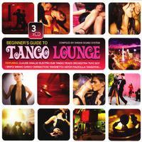 VA  - Beginner's Guide to Tango Lounge